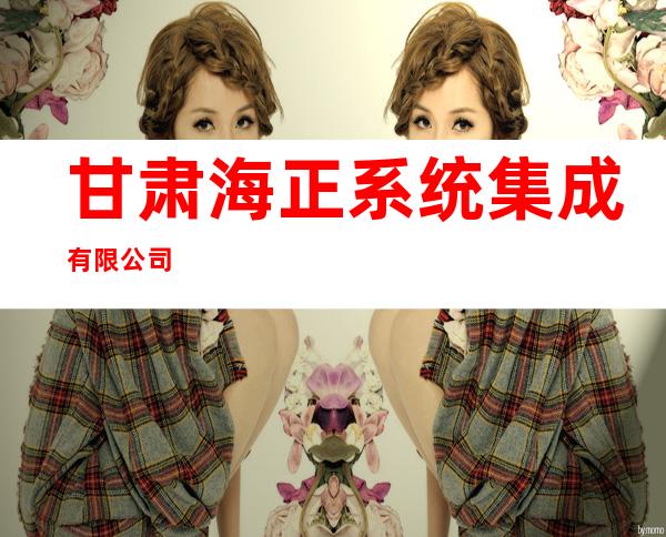甘肃海正系统集成有限公司